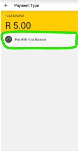 Step 6 - Confirm that you want to pay from your prepaid balance